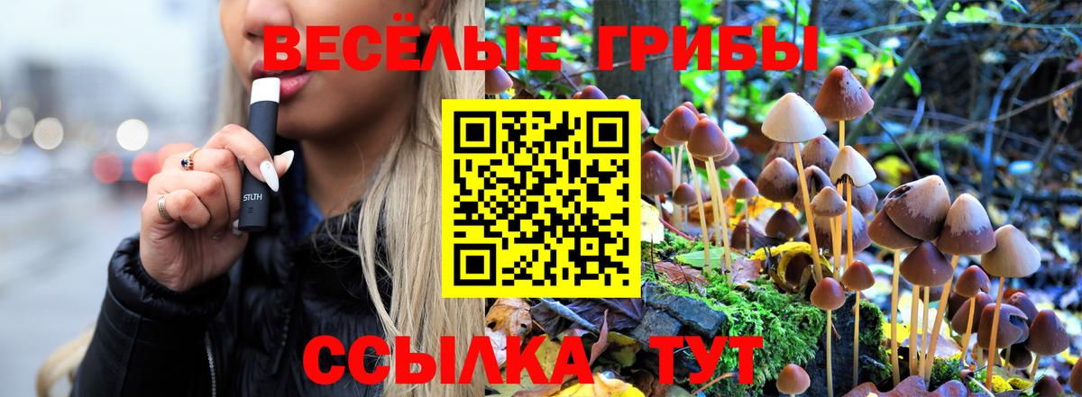 Галлюциногенные грибы GOLDEN TEACHER  Вход с VPN  Ижевск  Галлюциногенные грибы Psilocybe 