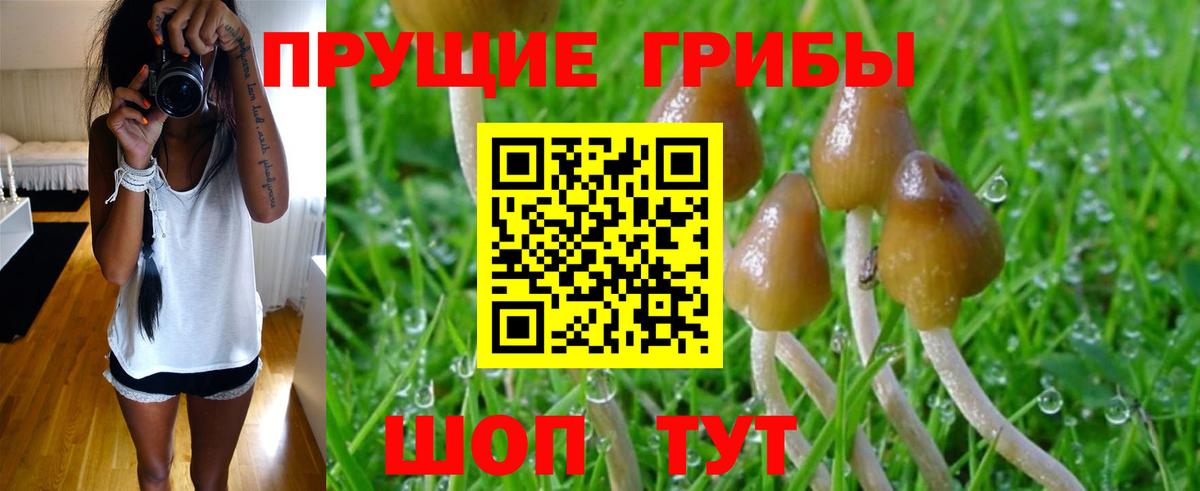 Галлюциногенные грибы Magic Shrooms Ижевск